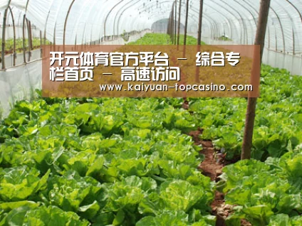 种植基地五