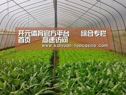 种植基地四