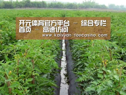 种植基地三