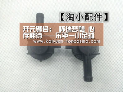 开元聚合:
怀揣梦想 心存期待——乐平一小足球队到场市足球联赛剪影(图3) 开元官方